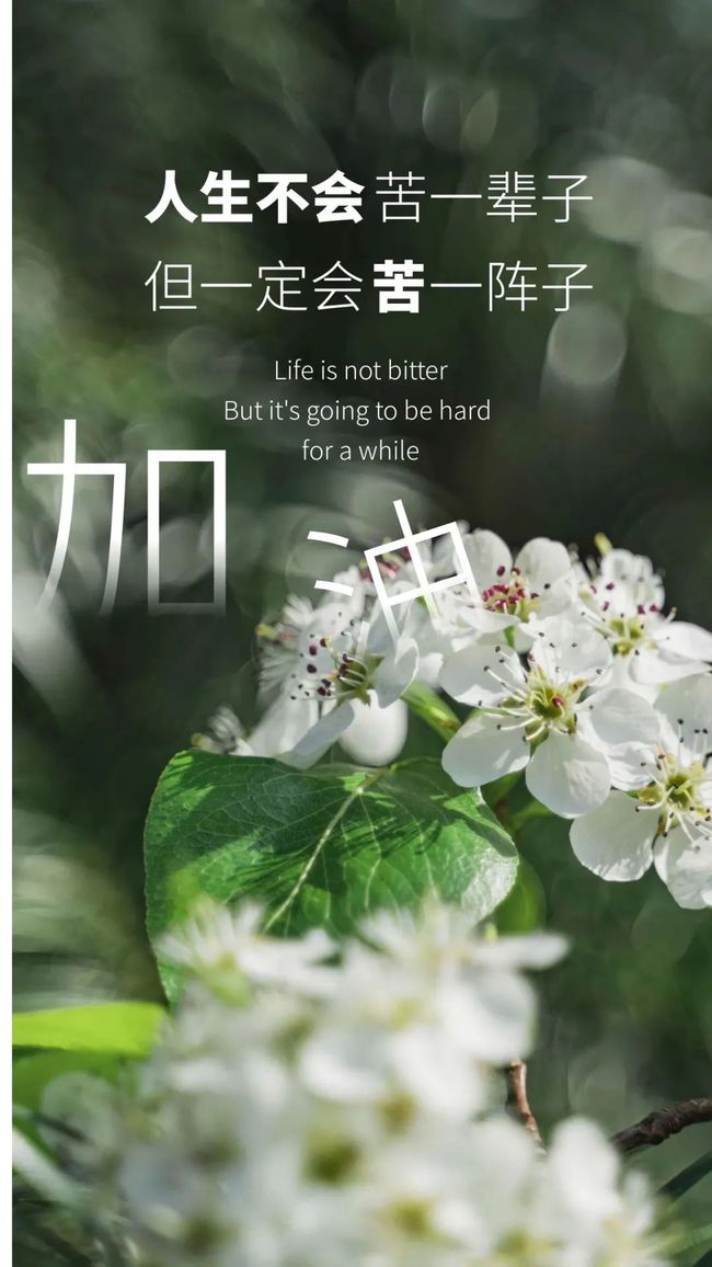 心情励志唯美句子_(女人励志的话致自己)