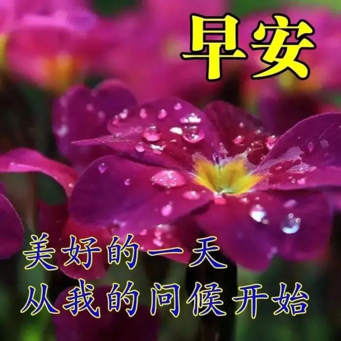 2021最新祝福问候朋友早上好句子精选，早安祝福动态表情图片-句子橘