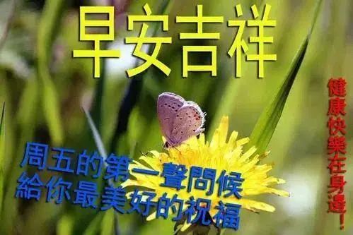 2021最新祝福问候朋友早上好句子精选，早安祝福动态表情图片-句子橘