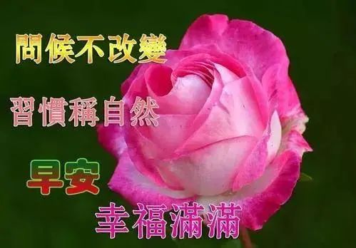 2021最新祝福问候朋友早上好句子精选，早安祝福动态表情图片-句子橘