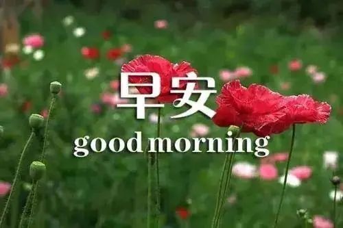 2021最新祝福问候朋友早上好句子精选，早安祝福动态表情图片-句子橘