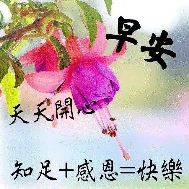 2021最新祝福问候朋友早上好句子精选，早安祝福动态表情图片-句子橘