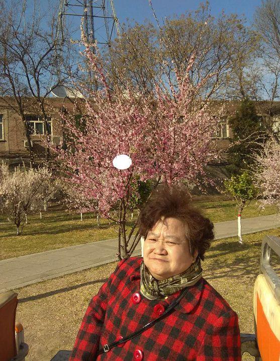 赞扬孝顺的子女的句子 赞扬孝顺的子女的句子