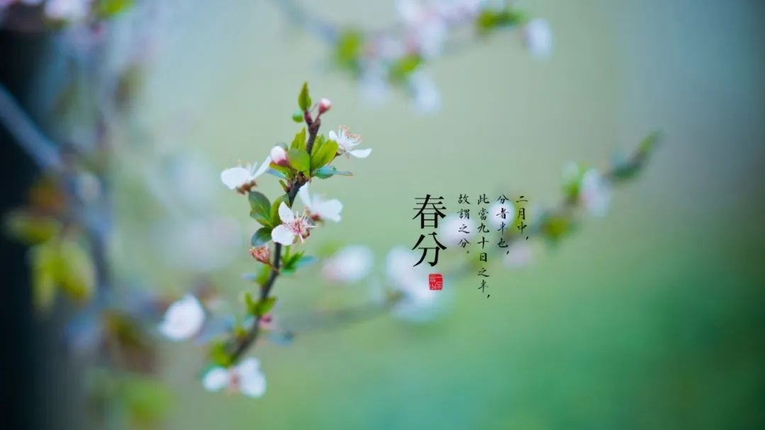 春分时节发给朋友家人的暖心祝福春分祝福语大全简短一句话-句子橘 春分时节发给朋友家人的暖心祝福春分祝福语大全简短一句话-句子橘