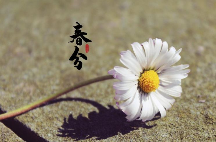 春分时节发给朋友家人的暖心祝福春分祝福语大全简短一句话-句子橘 春分时节发给朋友家人的暖心祝福春分祝福语大全简短一句话-句子橘
