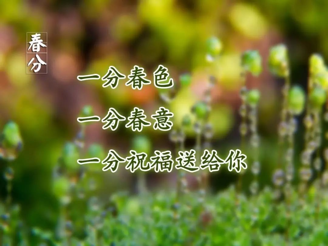 春分时节发给朋友家人的暖心祝福春分祝福语大全简短一句话-句子橘 春分时节发给朋友家人的暖心祝福春分祝福语大全简短一句话-句子橘