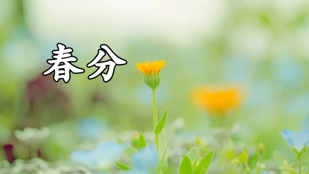 春分时节发给朋友家人的暖心祝福春分祝福语大全简短一句话-句子橘 春分时节发给朋友家人的暖心祝福春分祝福语大全简短一句话-句子橘