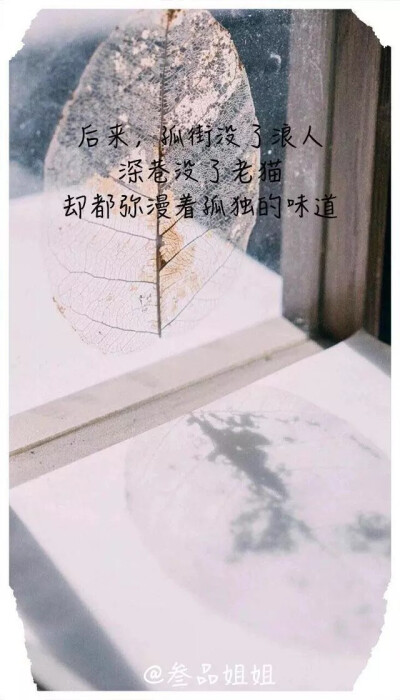 孤独名言名句优美句子摘抄(孤独名言名句伤感)