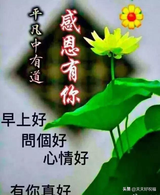 孝顺句子唯美简短 孝顺句子唯美简短