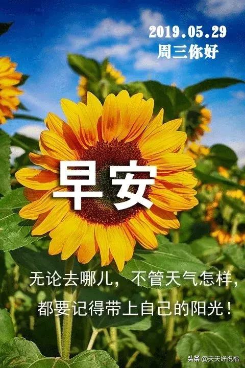 孝顺句子唯美简短 孝顺句子唯美简短