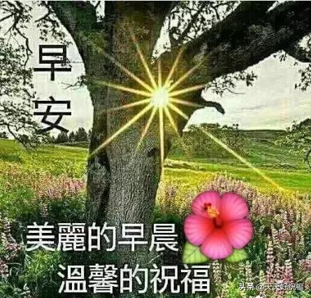 孝顺句子唯美简短 孝顺句子唯美简短