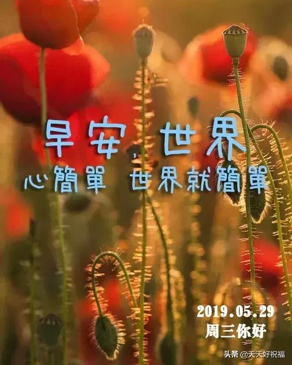 孝顺句子唯美简短 孝顺句子唯美简短