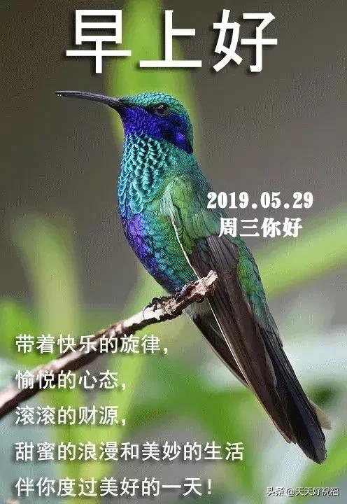 孝顺句子唯美简短 孝顺句子唯美简短