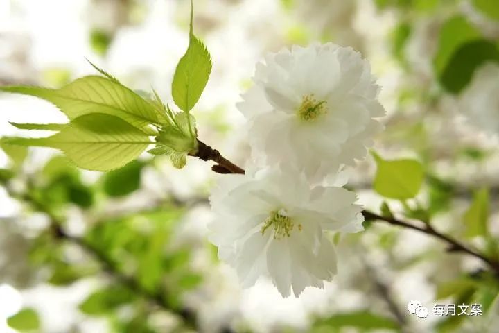 对员工感恩的句子-句子橘 对员工感恩的句子-句子橘
