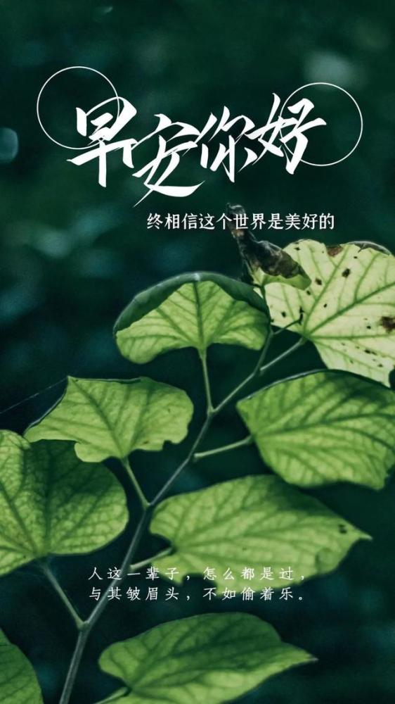 奋斗的现实扎心励志的句子_(十句话穿透人心)