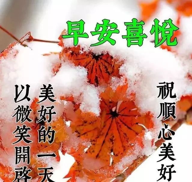 3月1日最新早上问候大家的暖心祝福语句，3月最美的早安动态祝福图片-句子橘