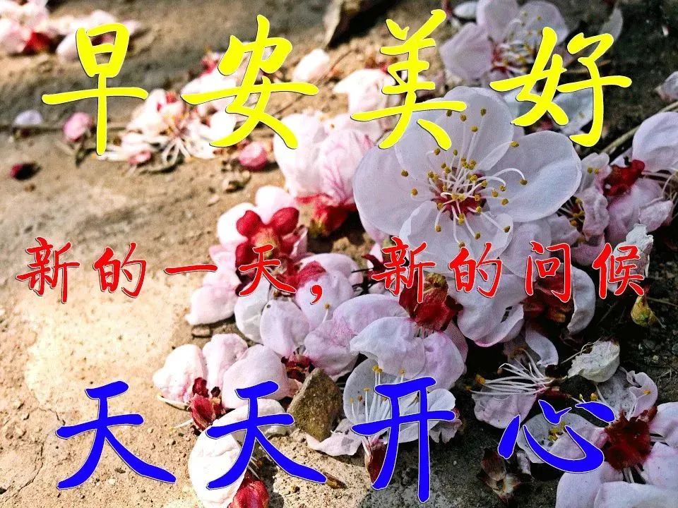 3月1日最新早上问候大家的暖心祝福语句，3月最美的早安动态祝福图片-句子橘