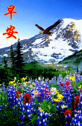 3月1日最新早上问候大家的暖心祝福语句，3月最美的早安动态祝福图片-句子橘