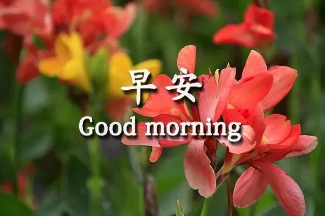 3月1日最新早上问候大家的暖心祝福语句，3月最美的早安动态祝福图片-句子橘