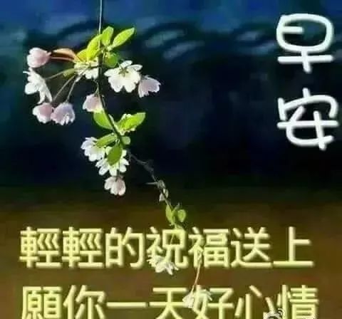 3月1日最新早上问候大家的暖心祝福语句，3月最美的早安动态祝福图片-句子橘
