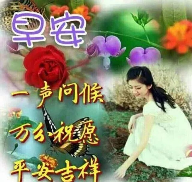 送女朋友的早安问候语短信句子,浪漫的早安问候祝福语图片-句子橘 送女朋友的早安问候语短信句子,浪漫的早安问候祝福语图片-句子橘