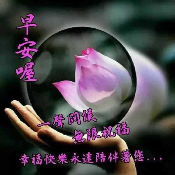 送女朋友的早安问候语短信句子,浪漫的早安问候祝福语图片-句子橘 送女朋友的早安问候语短信句子,浪漫的早安问候祝福语图片-句子橘