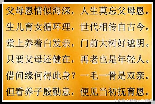 孝顺父母的句子押韵 孝顺父母的句子押韵
