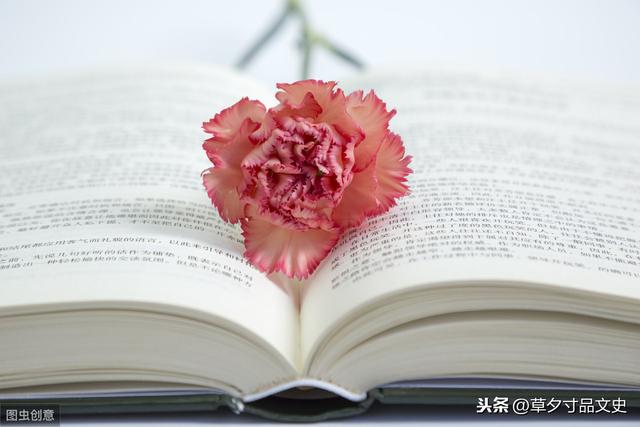 讽刺不孝顺父母的的句子 讽刺不孝顺父母的的句子