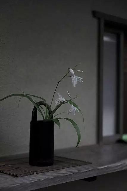 一起加油奋斗的句子姐姐