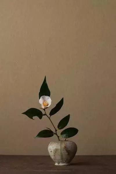 一起加油奋斗的句子姐姐