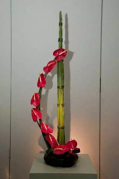 一起加油奋斗的句子姐姐
