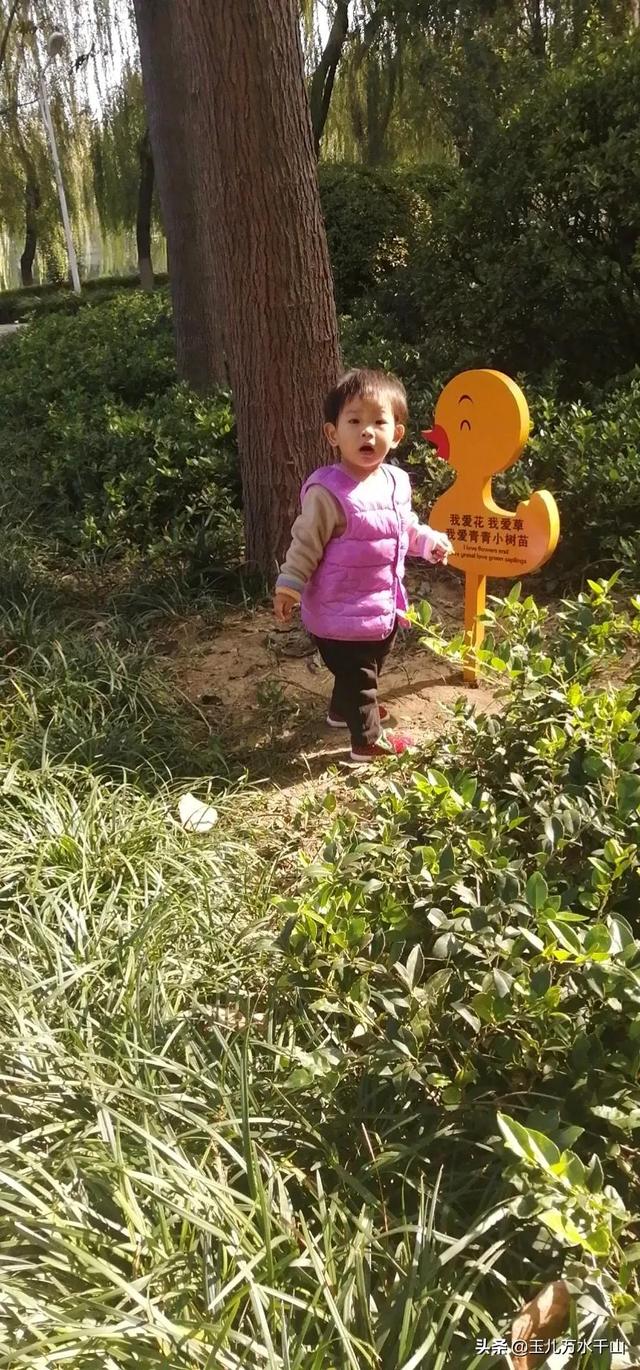 孩子懂事孝顺的感人的句子 孩子懂事孝顺的感人的句子