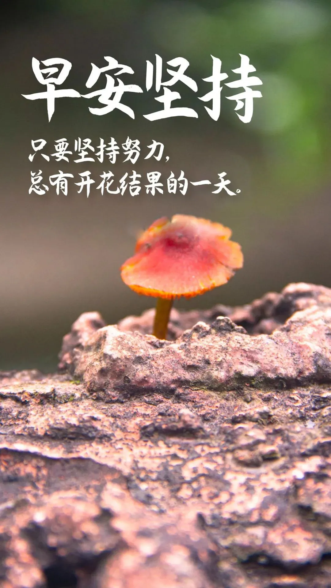 早晨正能量激励人的句子早上好励志奋斗说说-句子橘 早晨正能量激励人的句子早上好励志奋斗说说-句子橘