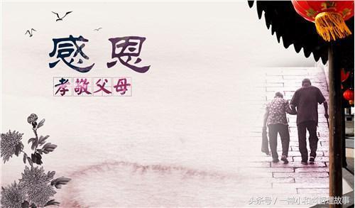 关于孝顺的句子及感悟 关于孝顺的句子及感悟