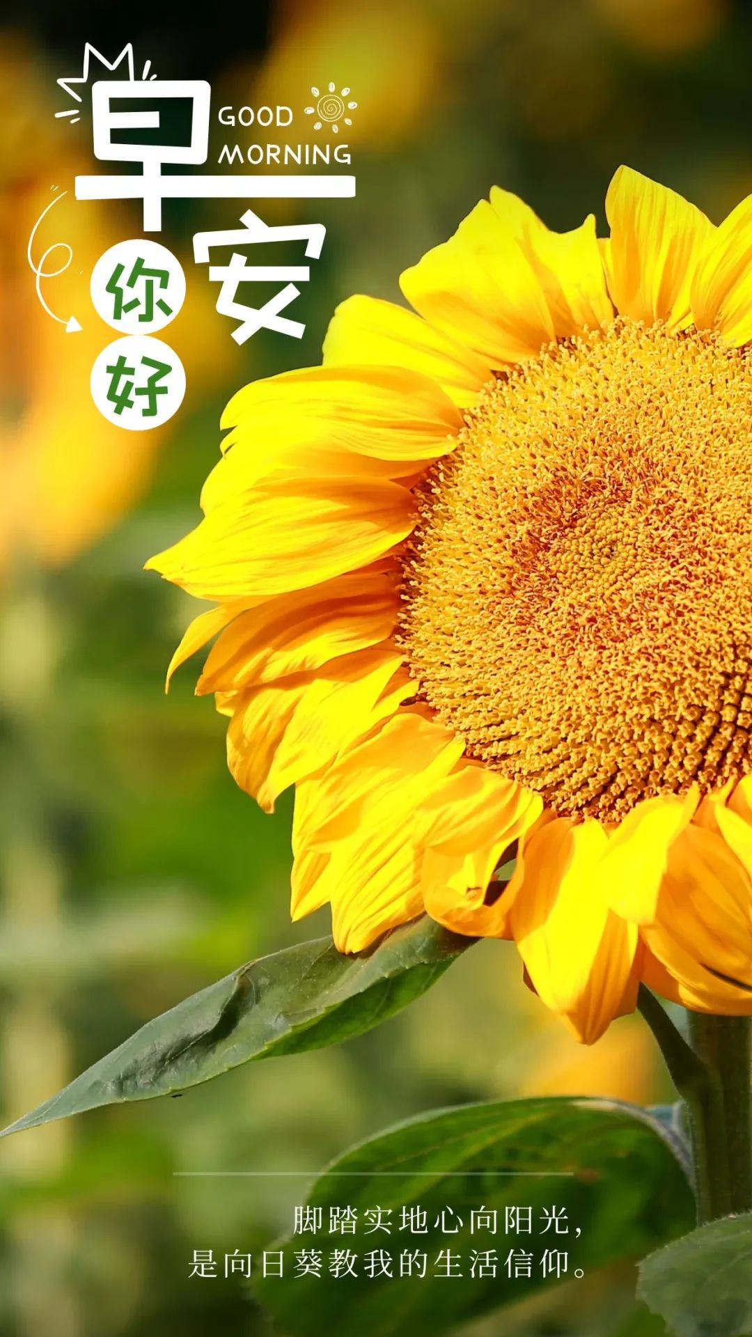 激励奋斗的早安句子阳光正能量早安图片问候!-句子橘 激励奋斗的早安句子阳光正能量早安图片问候!-句子橘