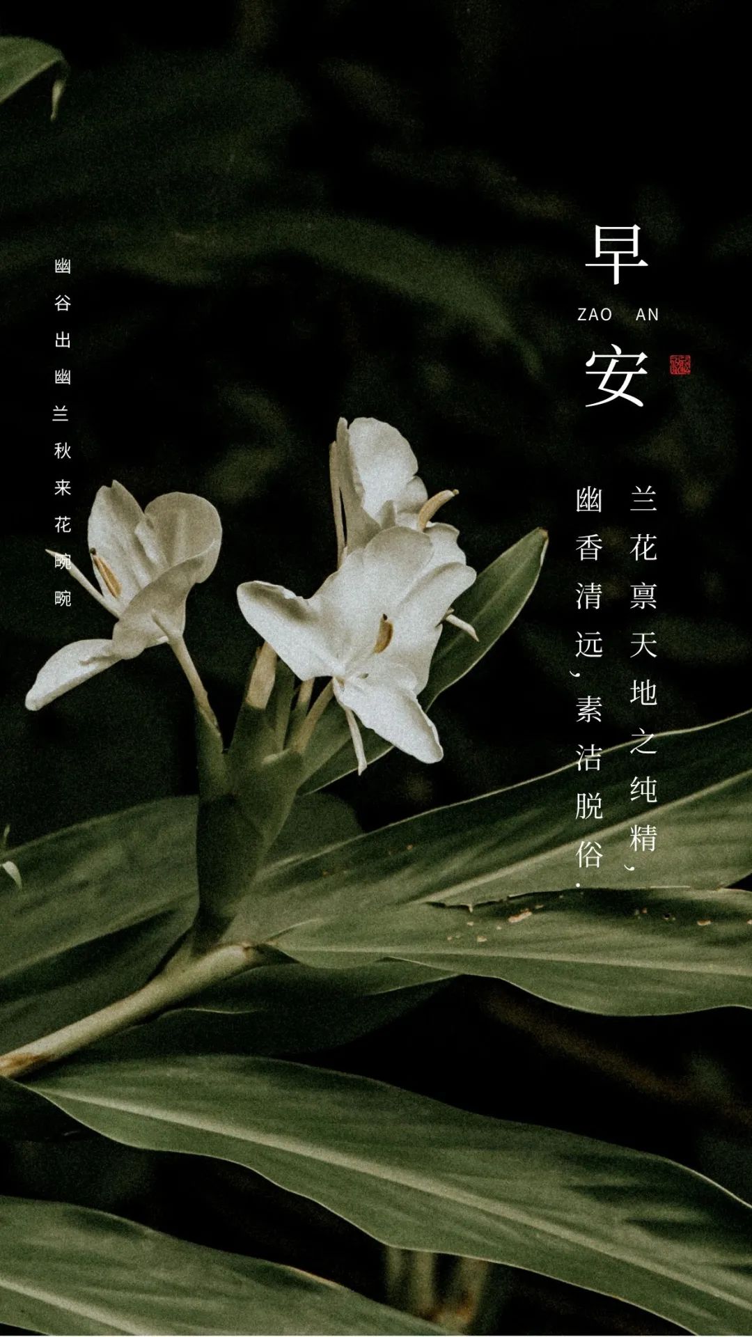 激励奋斗的早安句子阳光正能量早安图片问候!-句子橘 激励奋斗的早安句子阳光正能量早安图片问候!-句子橘