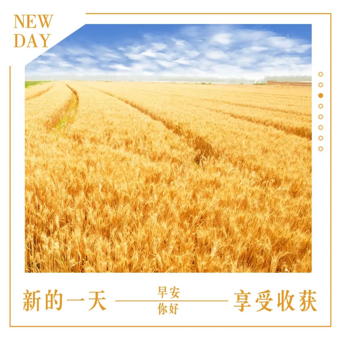 早安心语阳光句子,早安努力正能量-句子橘 早安心语阳光句子,早安努力正能量-句子橘