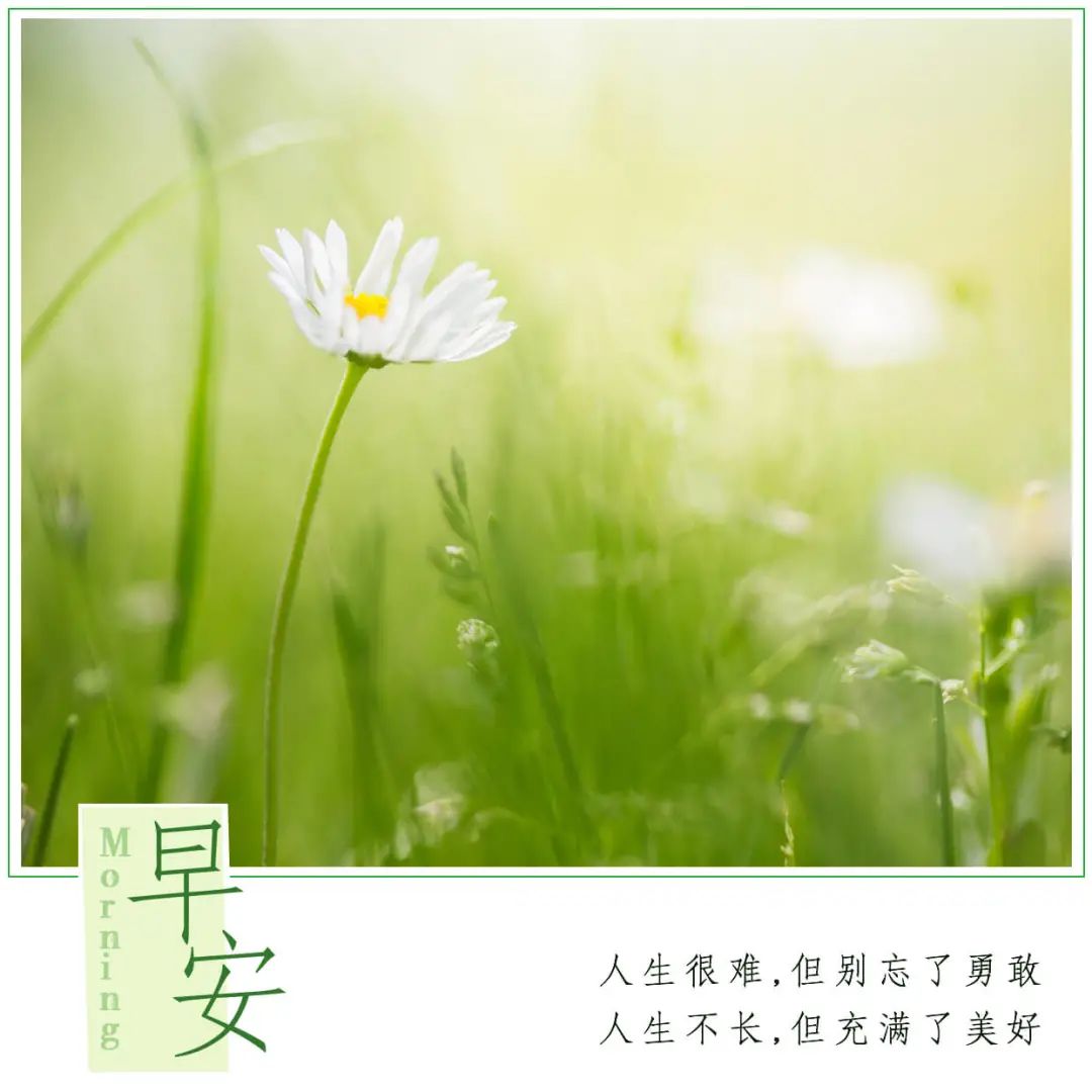 早安心语阳光句子,早安努力正能量-句子橘 早安心语阳光句子,早安努力正能量-句子橘