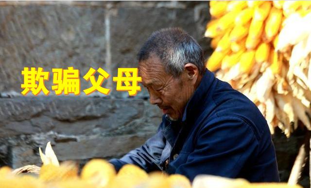 讽刺假孝顺的句子文章 讽刺假孝顺的句子文章