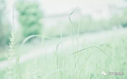 奋斗的句子精选:你是你人生的作者,何必把剧本写得苦不堪言-句子橘 奋斗的句子精选:你是你人生的作者,何必把剧本写得苦不堪言-句子橘