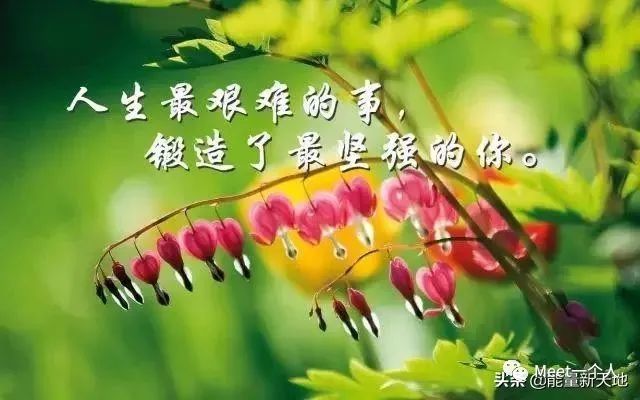 激励人奋斗的霸气句子,百看不厌,句句正能量-句子橘 激励人奋斗的霸气句子,百看不厌,句句正能量-句子橘