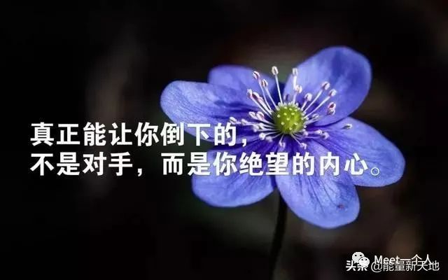 激励人奋斗的霸气句子,百看不厌,句句正能量-句子橘 激励人奋斗的霸气句子,百看不厌,句句正能量-句子橘