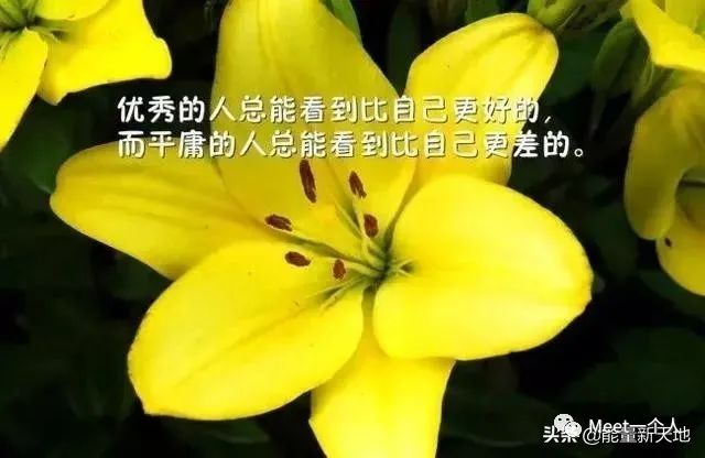 激励人奋斗的霸气句子,百看不厌,句句正能量-句子橘 激励人奋斗的霸气句子,百看不厌,句句正能量-句子橘