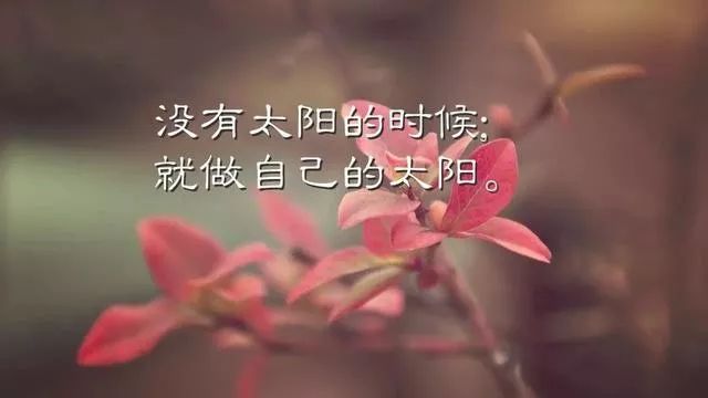 致自己奋斗的句子,总有一句话激励到你的!-句子橘 致自己奋斗的句子,总有一句话激励到你的!-句子橘