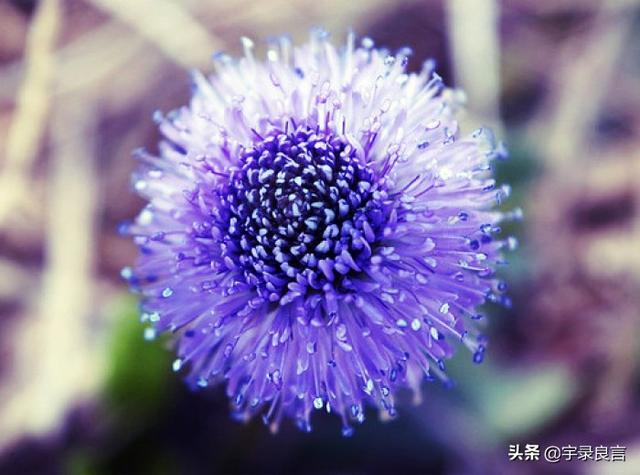 孝顺的优美句子 孝顺的优美句子