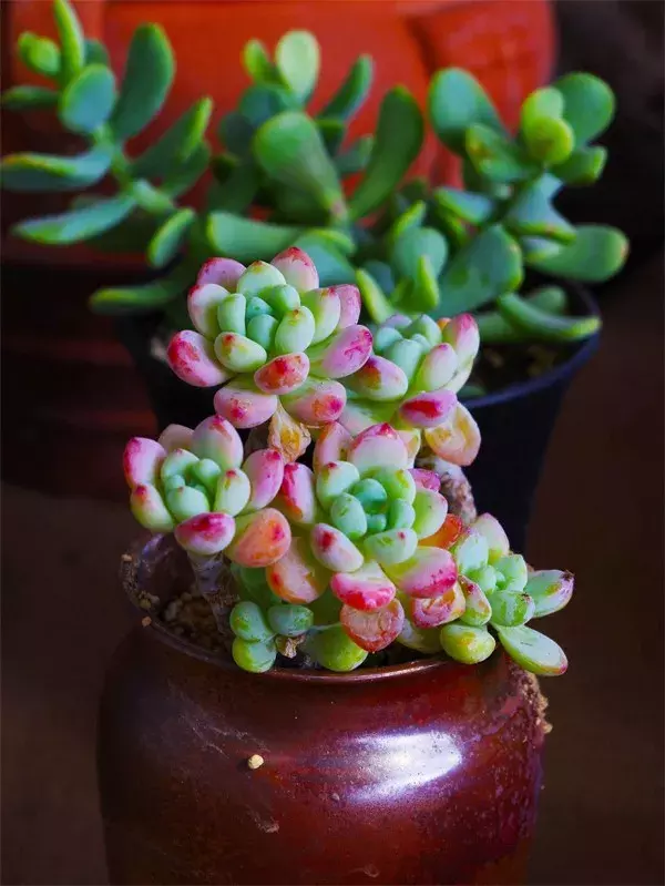 唯美早安心语简短句子早安说说图片-句子橘 唯美早安心语简短句子早安说说图片-句子橘