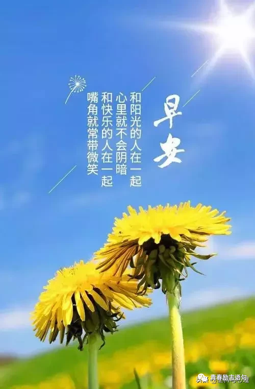 新的一月正能量青春奋斗语录句句励志激励人心-句子橘