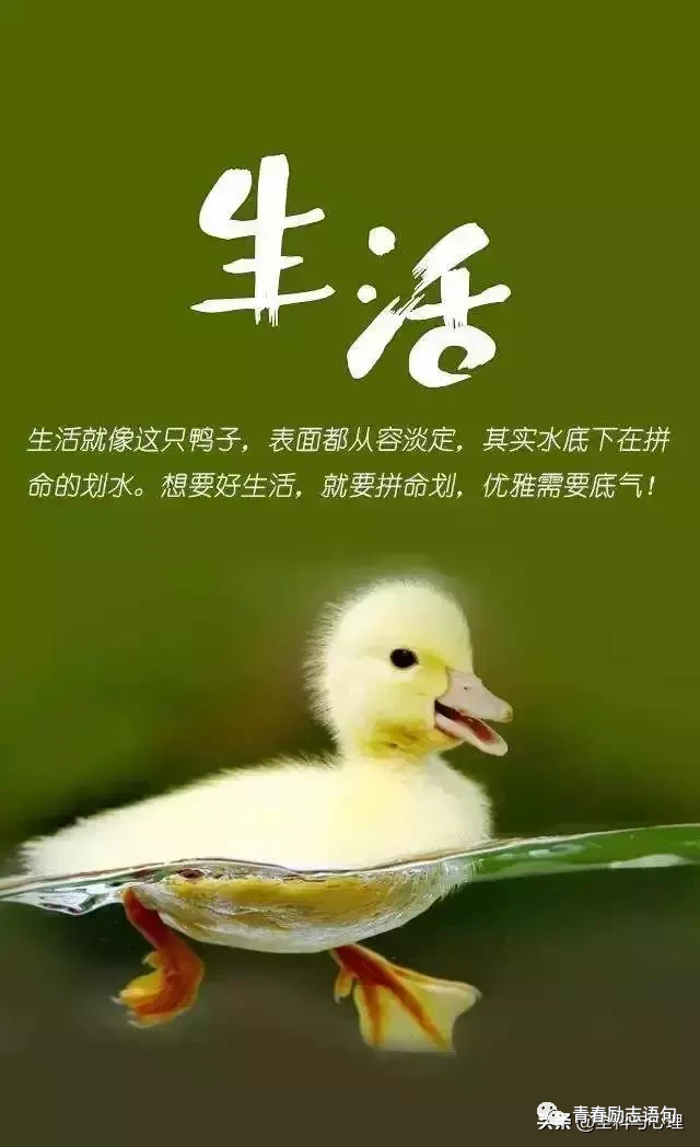 新的一月正能量青春奋斗语录句句励志激励人心-句子橘