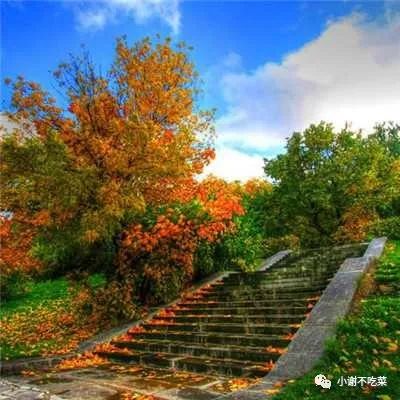 努力积极向上的文案句子-句子橘 努力积极向上的文案句子-句子橘