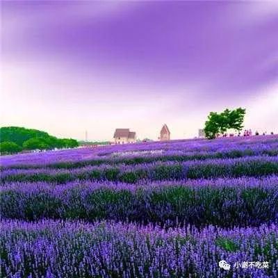 努力积极向上的文案句子-句子橘 努力积极向上的文案句子-句子橘